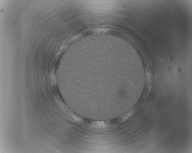 X0000051920381200507152103