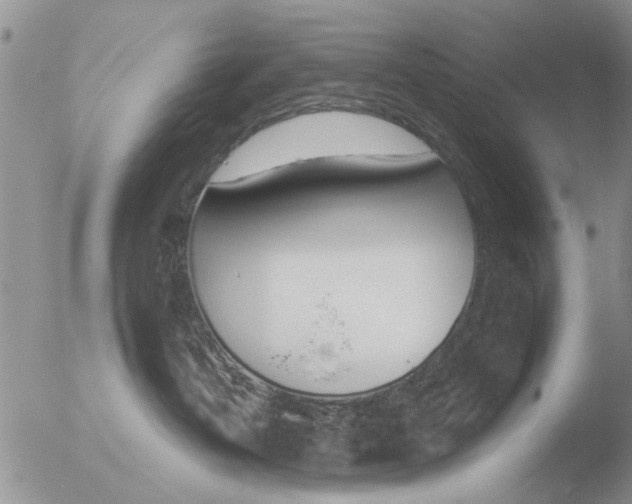 X0000051920382200507152103