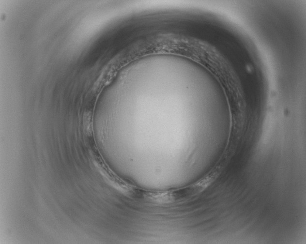 X0000051920383200507152103