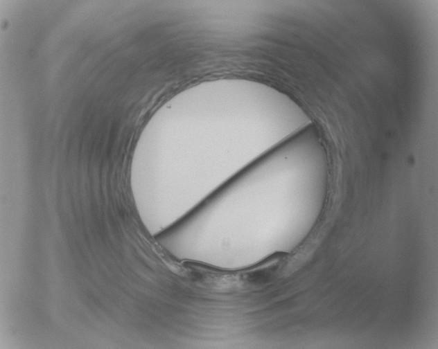 X0000051920384200507152103