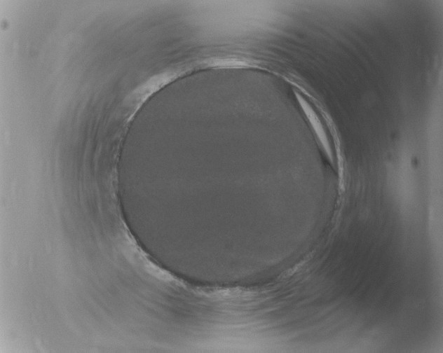 X0000051920385200507152102