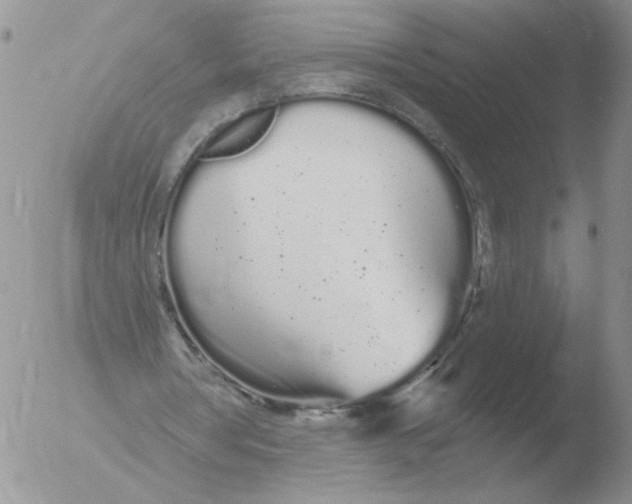 X0000051920386200507152102