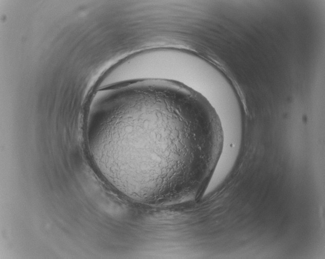 X0000051920387200507152102