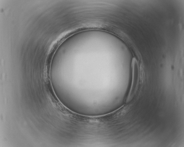 X0000051920388200507152102