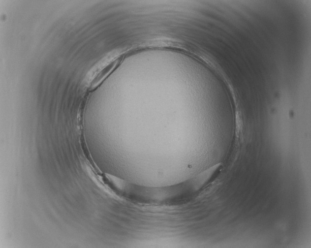 X0000051920389200507152102