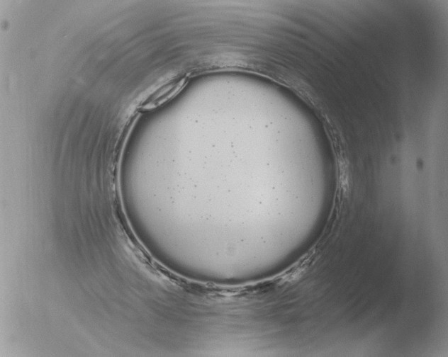 X0000051920390200507152102