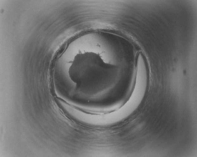 X0000051920391200507152102