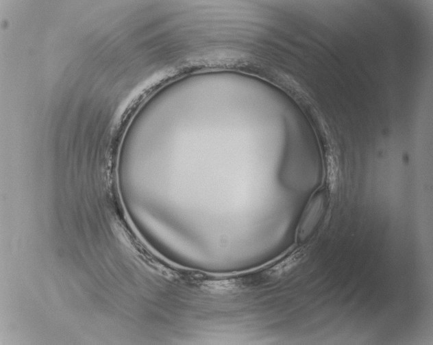 X0000051920392200507152102