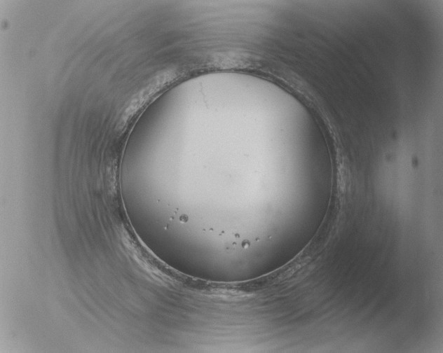 X0000051920393200507152102