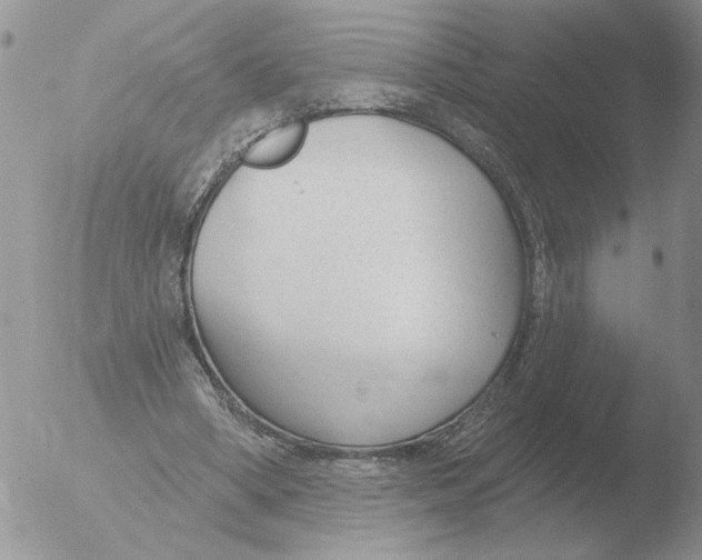 X0000051920394200507152102