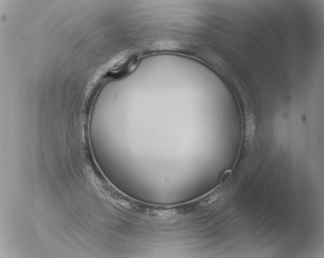 X0000051920395200507152102