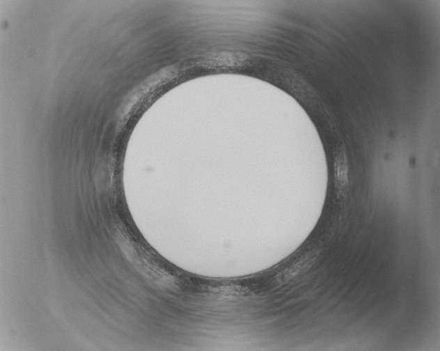 X0000051920396200507152102