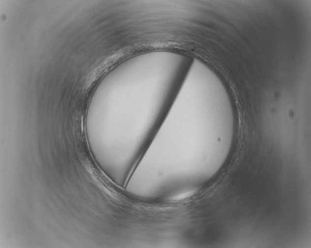 X0000051920397200507152102