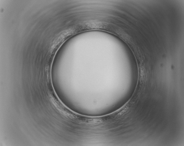 X0000051920398200507152102