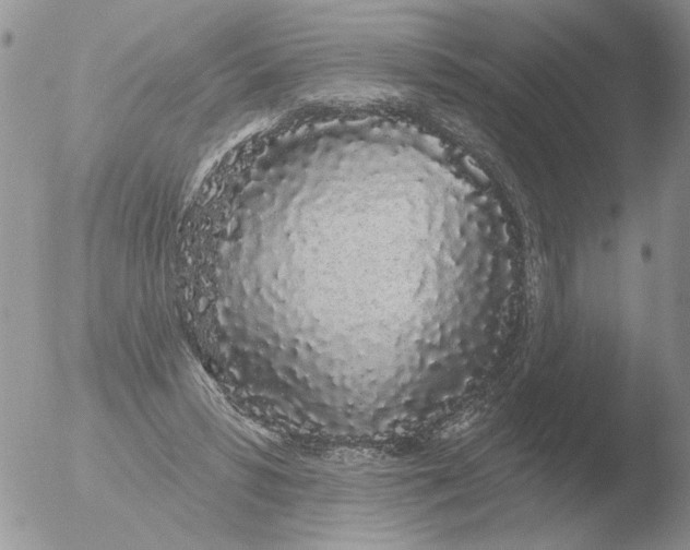 X0000051920399200507152102