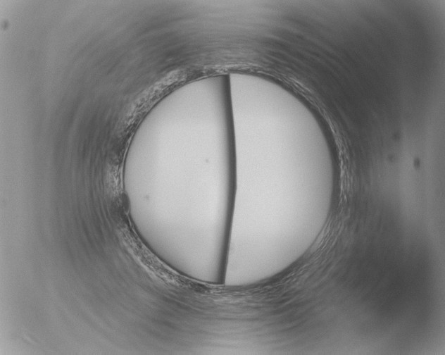 X0000051920401200507152102