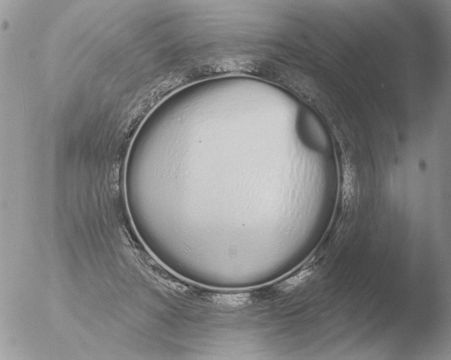 X0000051920402200507152102