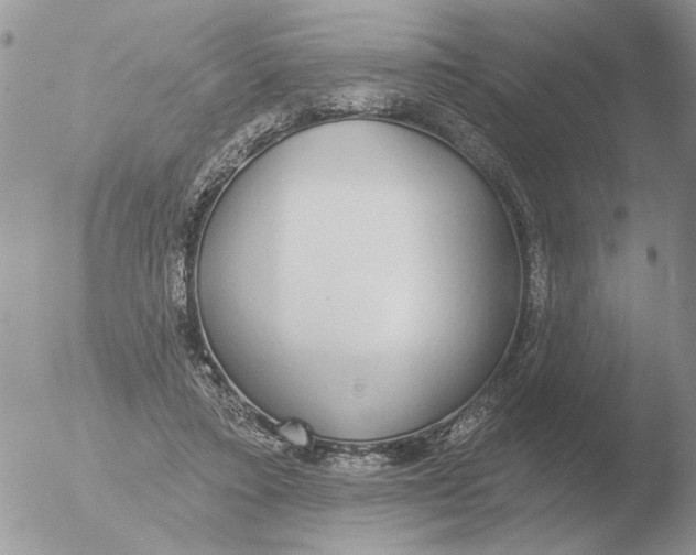 X0000051920403200507152102