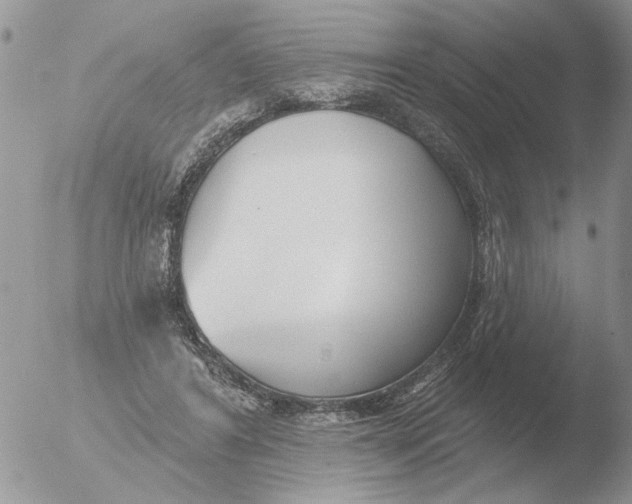 X0000051920404200507152102