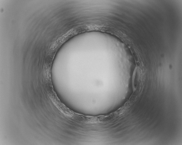 X0000051920405200507152102