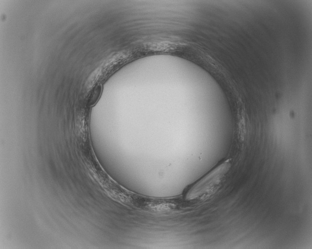 X0000051920407200507152102