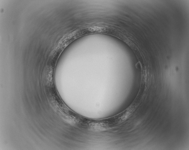 X0000051920408200507152102