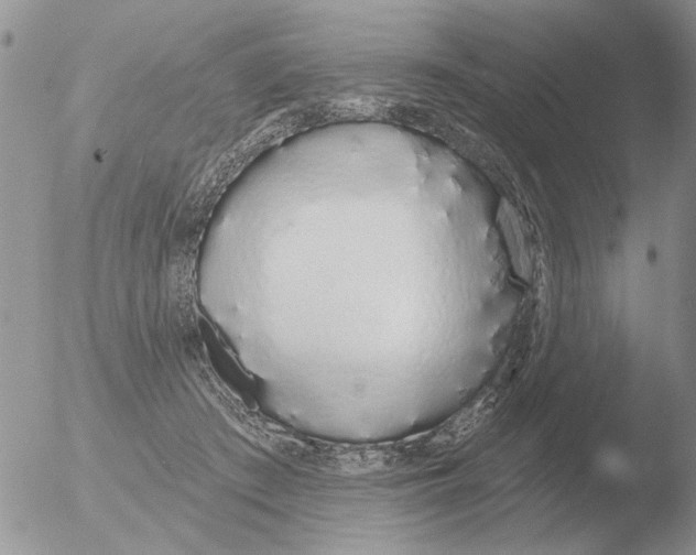 X0000051920409200507152102