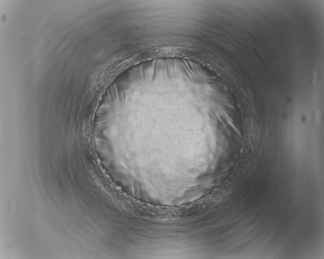 X0000051920410200507152102