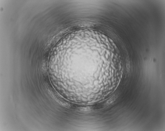 X0000051920411200507152102