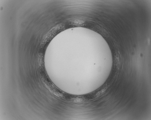 X0000051920412200507152102