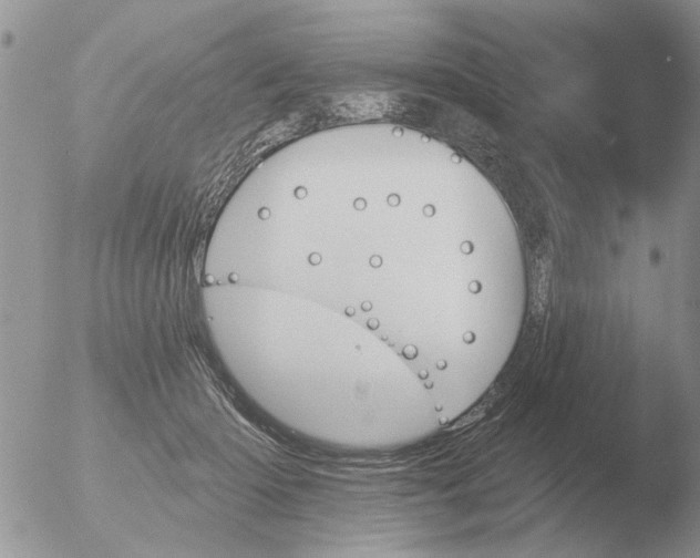 X0000051920414200507152102