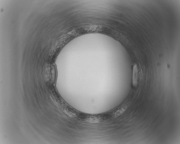 X0000051920416200507152102