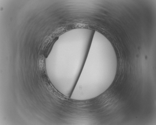 X0000051920417200507152102