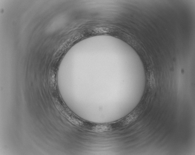 X0000051920418200507152102