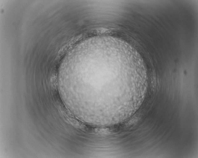 X0000051920419200507152102