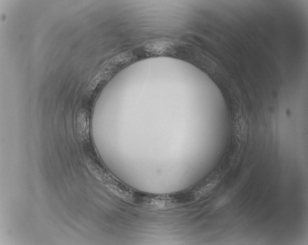 X0000051920420200507152102