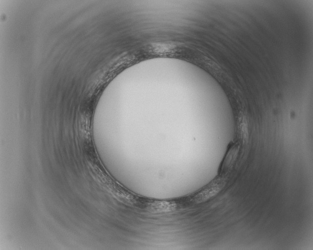 X0000051920421200507152102