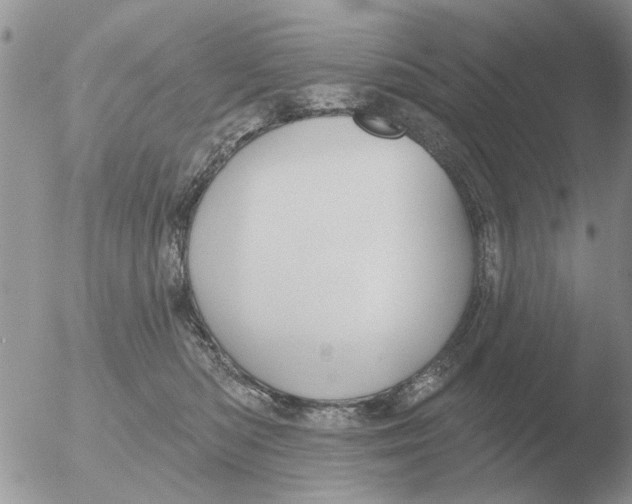 X0000051920422200507152102