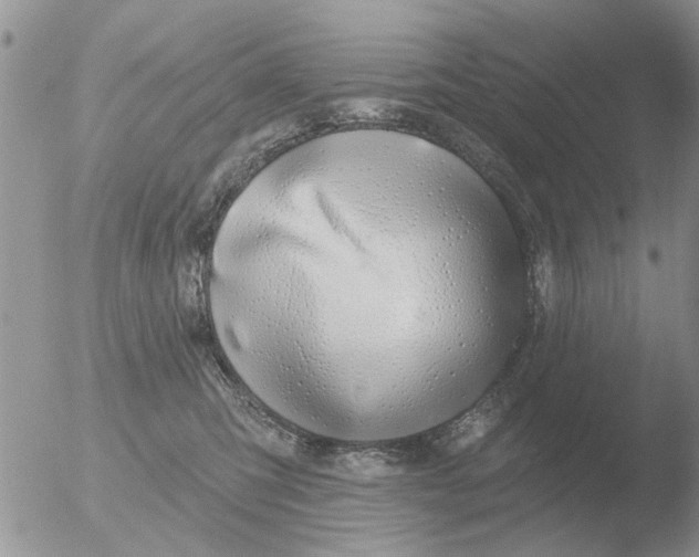 X0000051920423200507152102