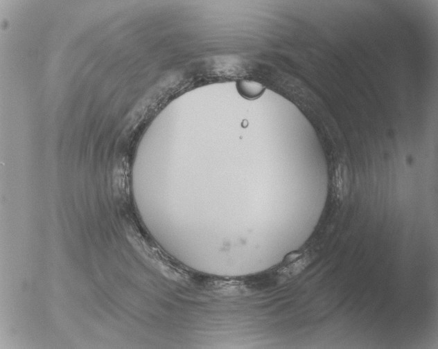 X0000051920424200507152102