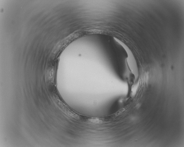 X0000051920425200507152102