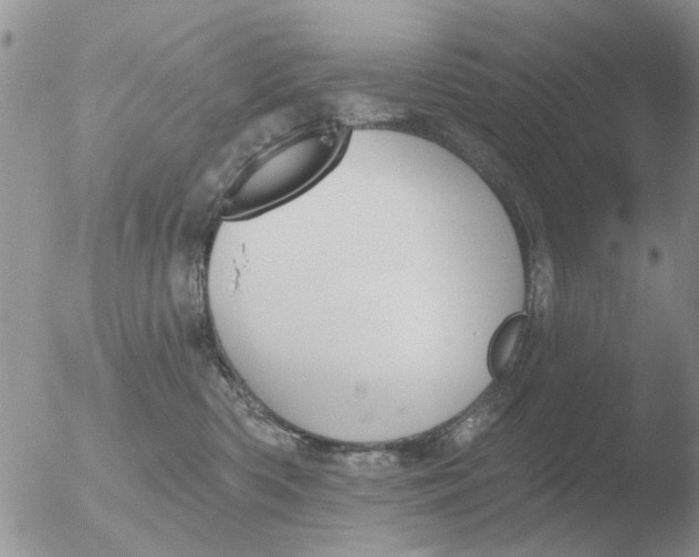 X0000051920426200507152102