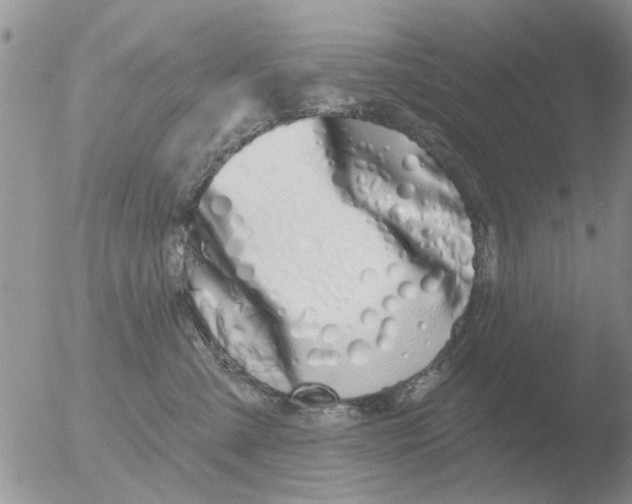 X0000051920427200507152102