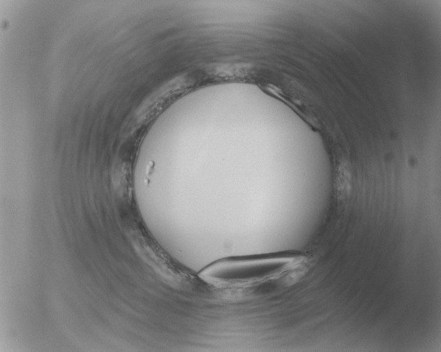 X0000051920428200507152102