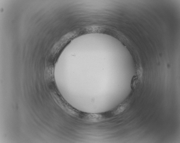 X0000051920429200507152102