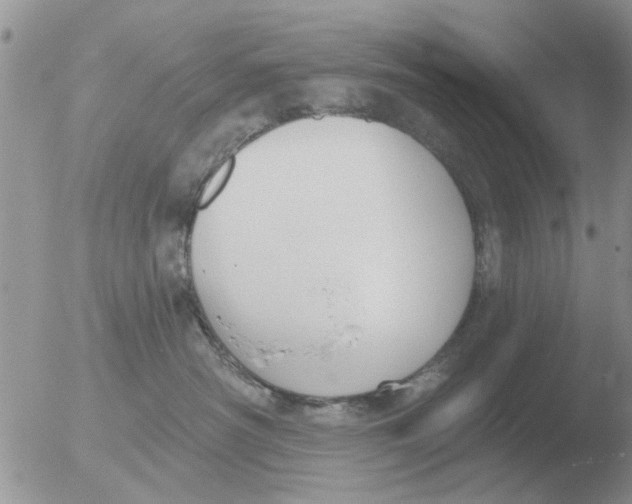 X0000051920430200507152101