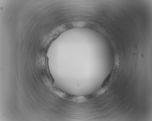 X0000051920431200507152101