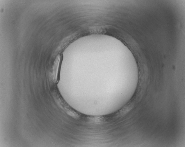 X0000051920432200507152101