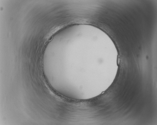 X0000051920433200507152101