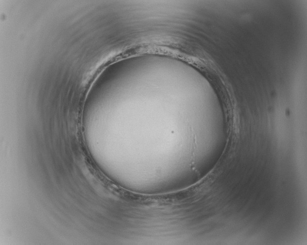 X0000051920434200507152101